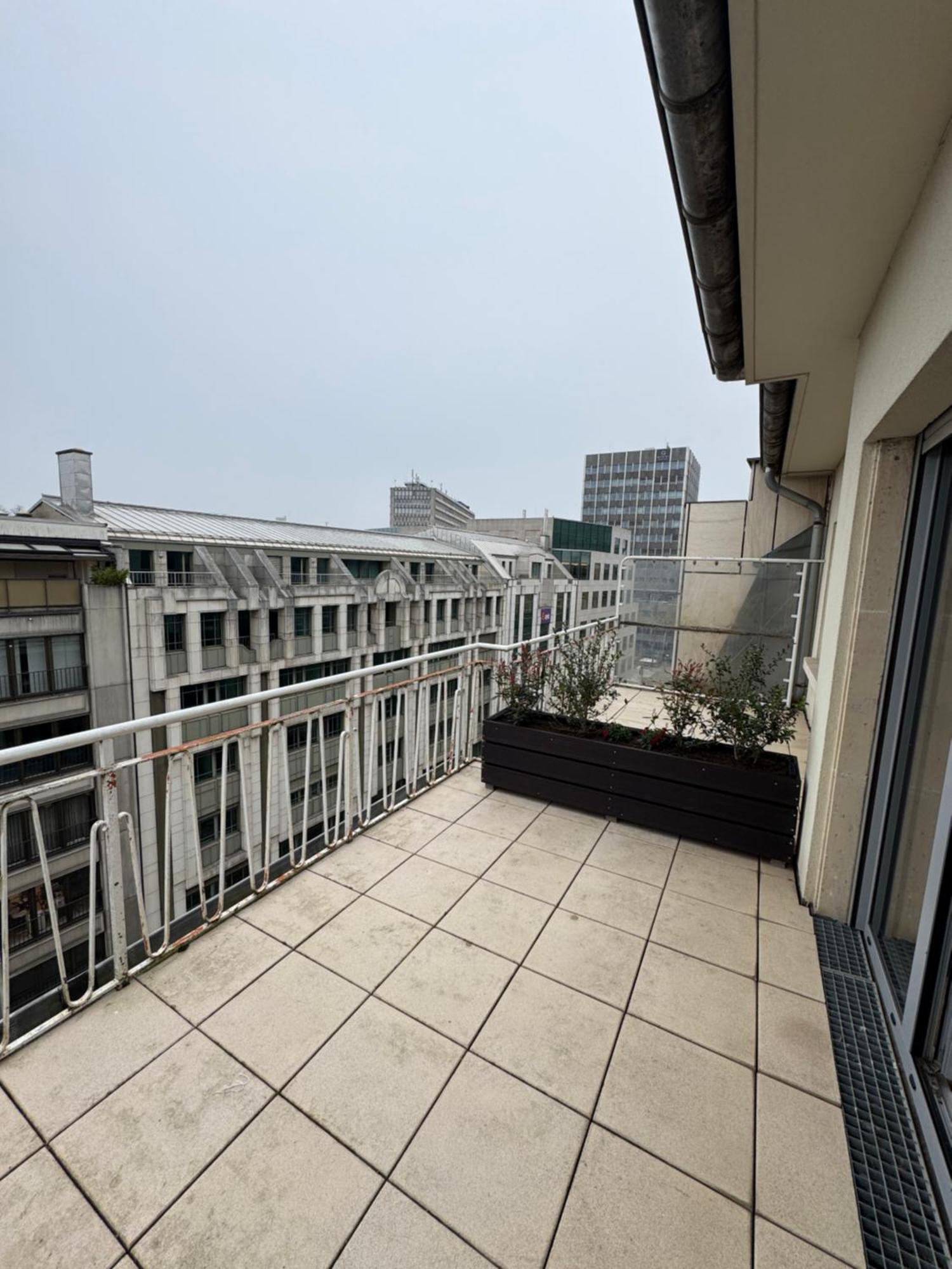 Center * Luxemburgo
